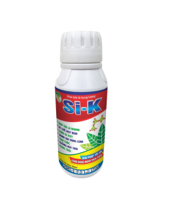 Si-K